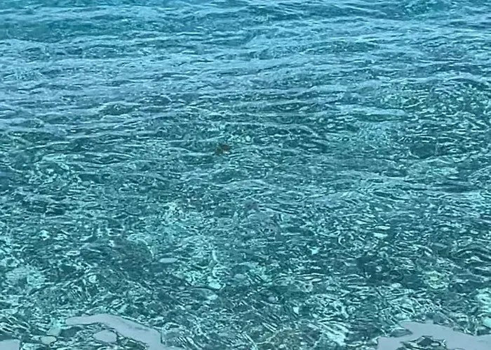 Apartamento Casa Diana Scilla